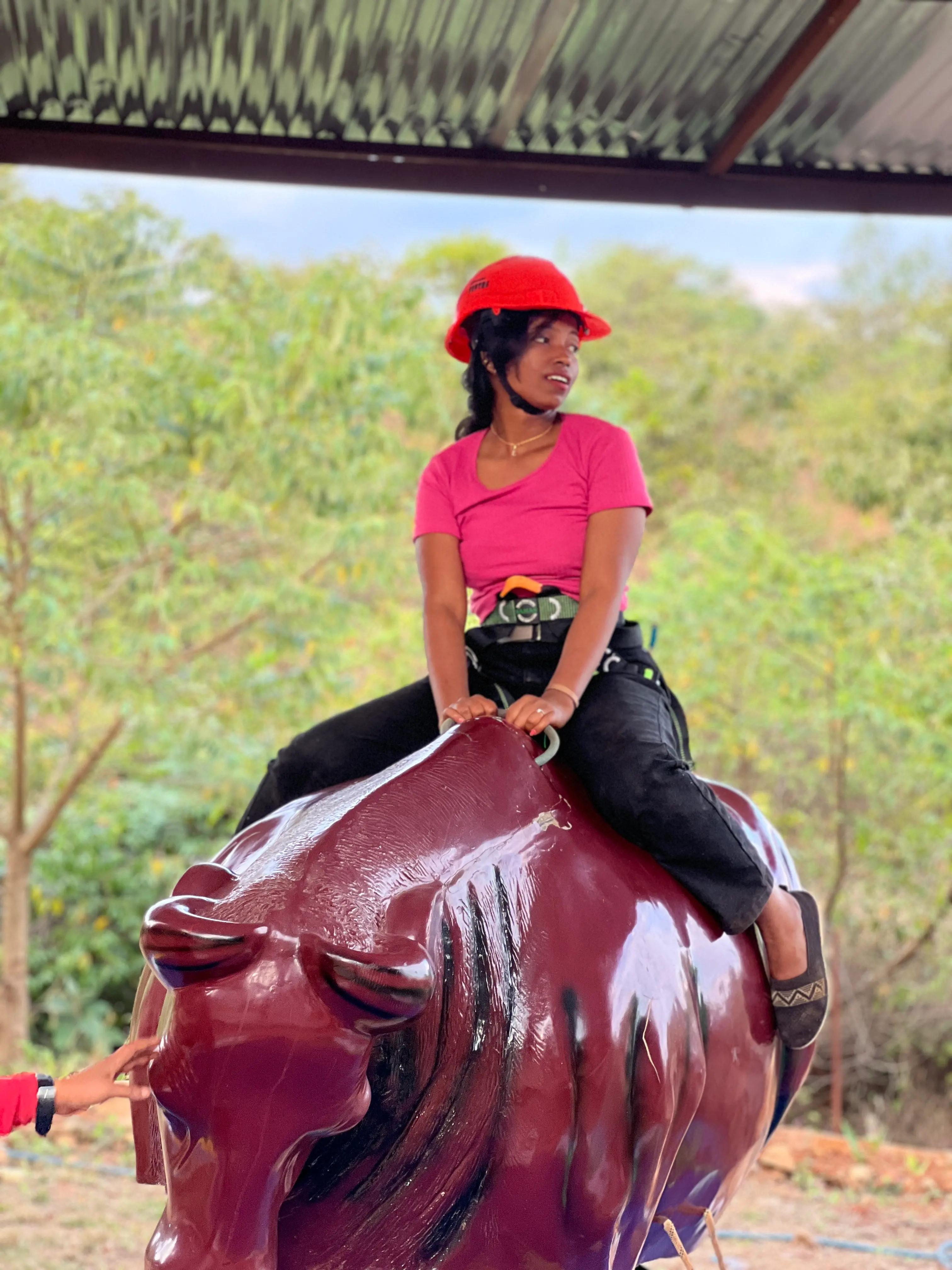 Bull Ride