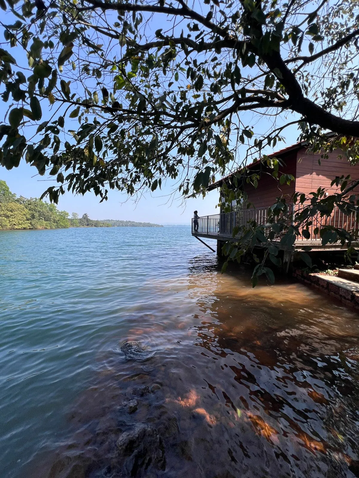 Lake Side